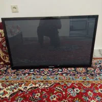 تلویزیون43پلاسما|تلویزیون و پروژکتور|کلاله, |دیوار