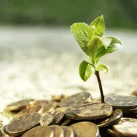 نیازمند ضامن