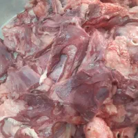 گوشت کله گوساله تازه و ارزان فقط۳۰۰