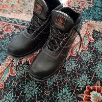 کفش ایمینی کار