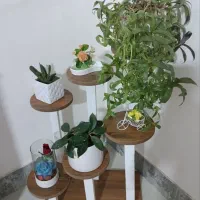 پایه گل و دکوری|صنایع دستی و سایر لوازم تزئینی|قوچان, |دیوار