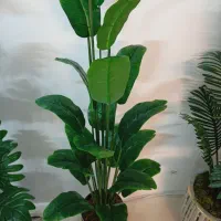 انواع درختچه مصنوعی