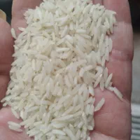 برنج هاشمی 290000|خوردنی و آشامیدنی|رشت, عینک|دیوار