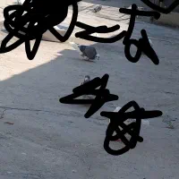 کبوتر گم کردم