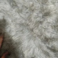 پارچه خز|رختخواب، بالش، پتو|باغستان, |دیوار