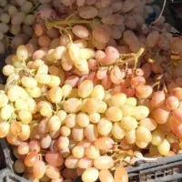 انگور آب گیری کیلوی ۵۰هزارتومان|خوردنی و آشامیدنی|شاهرود, |دیوار