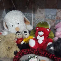 عروس تدی سایزبزرگ برای سیسمونی|اسباب‌بازی بچه|مشهد, گلبرگ|دیوار