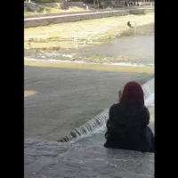 پرستارمیشم از کودک و سالمند سالم