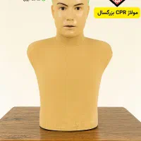 انواع مولاژ CPR و مولاژ تزریقات ودیگر موارد آموزشی|پزشکی|مشهد, کوه سنگی|دیوار