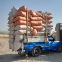 کاه گندم و جو