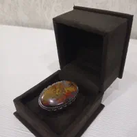 انگشتر نقره با نگین شجرمرجانی کمیاب|جواهرات|پرند, فاز ۶|دیوار