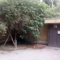 خانه-کلنگی-اپادانا-اول-باغ-کاج