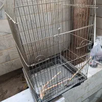 قفس بزرگ|لوازم جانبی حیوانات|قم, باغ کرباسی|دیوار
