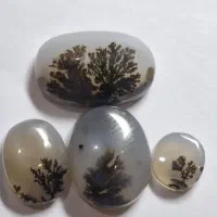 سنگ شجر بسیار زیبا