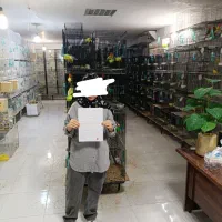 استخدام لاین خانم اقا منشی کار سالن اجاره عروس|استخدام اداری و مدیریت|مشهد, فاطمیه|دیوار