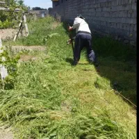 بیل زن بیل داری علف زنی نظافت باغبان