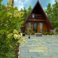 کلبه سوئیسی شازده لیام|اجارهٔ کوتاه‌مدت ویلا و باغ|شیرگاه, |دیوار