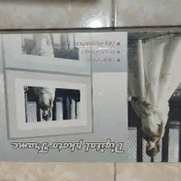 قاب عکس دیجیتال|صوتی و تصویری|اصفهان, وحید|دیوار