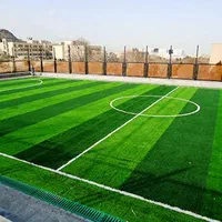 زمین فوتبال چمن مصنوعی با گارانتی و کیفیت|خدمات باغبانی و درختکاری|تهران, سعادت‌آباد|دیوار