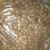 سلام رب انار ملس وترس موجود هست|خوردنی و آشامیدنی|شریفآباد, |دیوار