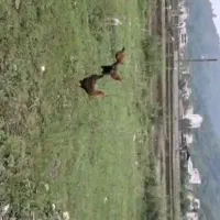 فروش زمین پروانه دار ۱۵۹متری ۶۵۰میلیون