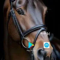 redmi note 13 در حد بدون نقطه