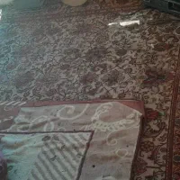 فروش فرش دستباف ۱۲ متری با رنگ روشن و بسیار زیبا