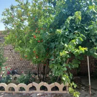 اجاره خانه ویلایی دربست|اجارهٔ خانه و ویلا|دشتابی, |دیوار