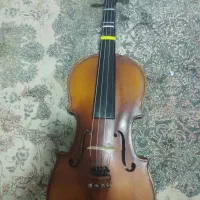 ویولن