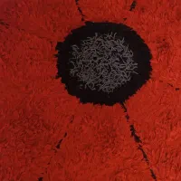 فرش طرح گل سالم و تمیز و ۳عددپادری