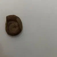 سنگ آمونیت|عمده‌فروشی|دامغان, |دیوار