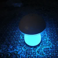 چراغ خواب|چراغ خواب و آباژور|تبریز, |دیوار