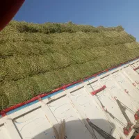 قلعه گنج کهنوج