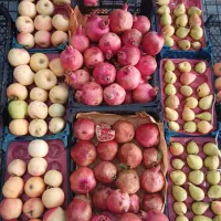 میوه سرای بهارنارنج با قیمت های استثنائی|خوردنی و آشامیدنی|اندیمشک, |دیوار