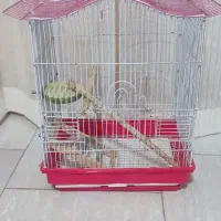قفس پرنده