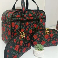 ساک چمدونی|کیف، کفش، کمربند|نیشابور, مازول|دیوار