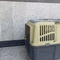 باکس پت استاندارد|لوازم جانبی حیوانات|ساری, |دیوار