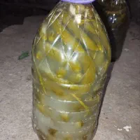 خیارشور ریز|عمده‌فروشی|چورزق, |دیوار