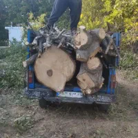 خریدار چوب با بالاترین قیمت