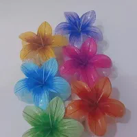 پلومریا ۸ سانتی رنگبندی زیبا