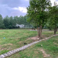 فروش زمین باغی خمام معاوضه با خودرو هم نجام میشه