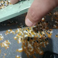 ردمی نوت13 فروش فوری 18تومن|موبایل|چهارباغ, |دیوار