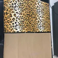 پادری|پادری|گرگان, |دیوار