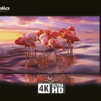 تلویزیون 65 اینچ 4K هوشمند سری سینما هیمالیا/لئوکو|تلویزیون و پروژکتور|نیشابور, جمهوری|دیوار