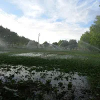 فروش زمین کشاورزی