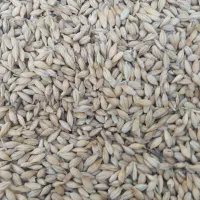 جو خارجی|لوازم جانبی حیوانات|کوهین, |دیوار