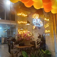 ال ای دی مغازه|لامپ و چراغ|کرج, مصباح|دیوار