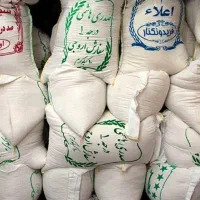 برنج شمالی نقدی و چکی|خوردنی و آشامیدنی|اصفهان, باغ زیار|دیوار