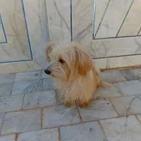 فروش قیمت ۲ ملیون تومان با تخفیف