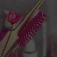 اجاره لاین سالن زیبایی